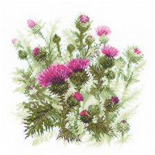 Схема вышивки «чертополох»