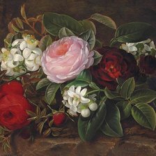 Йохан дженсен