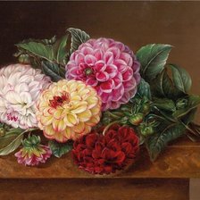 Схема вышивки «Йохан дженсен»