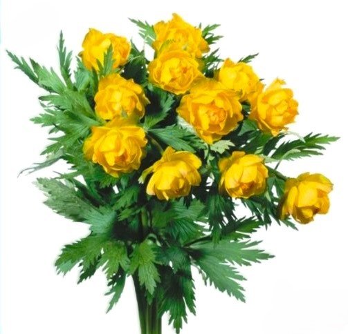 жарки - оригинал