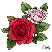 Схема вышивки «Роза»