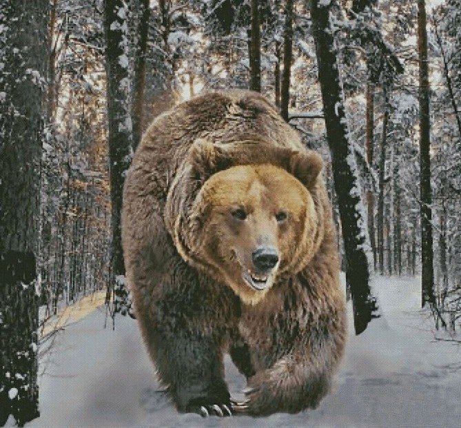 Хозяин тайги - животное, природа - оригинал