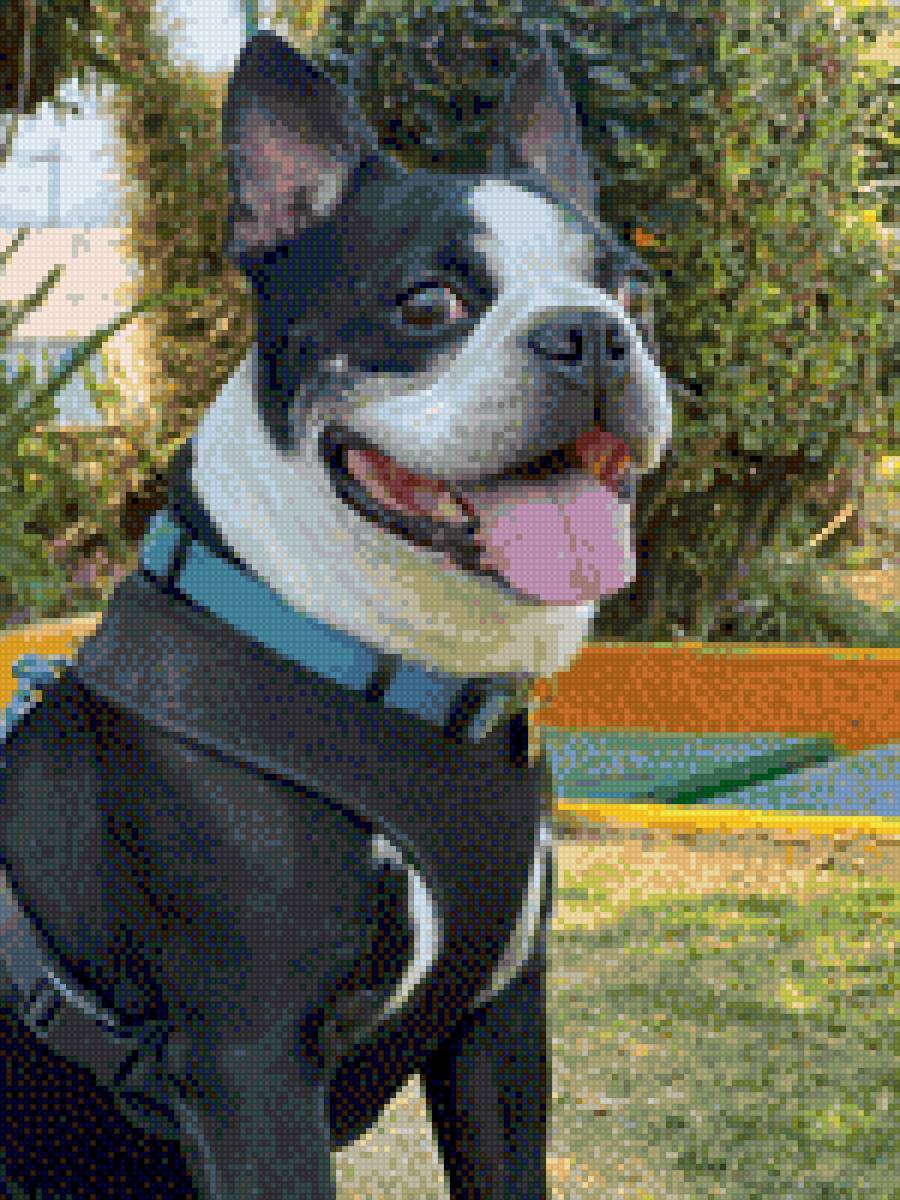 MAYANIN CROSTI RU - maya - предпросмотр