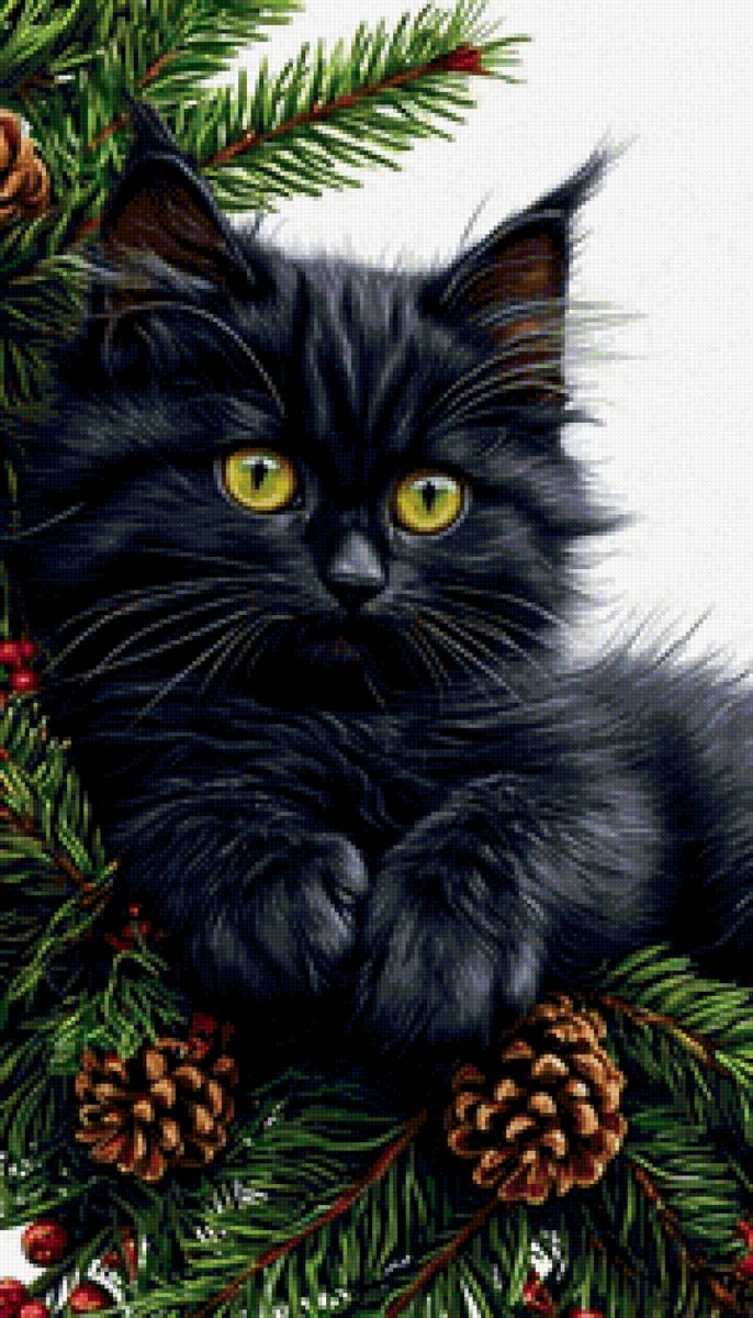 кот - кот - предпросмотр