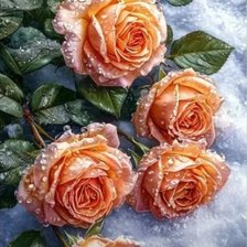 Схема вышивки «№2860849»