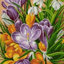 Схема вышивки «Крокуссы»