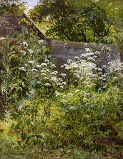 Сныть - по мотивам картины шишкина, трава, сад - оригинал