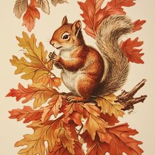 Схема вышивки «белка»