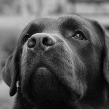 Схема вышивки «№2862127»