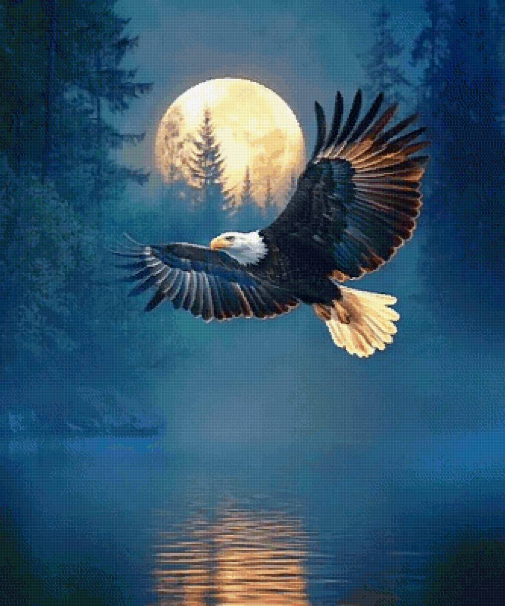 Орёл - озеро, ночь, птицы - предпросмотр