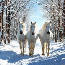 Схема вышивки «№2862271»