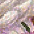 Предпросмотр схемы вышивки «Цветы» (№2862279)