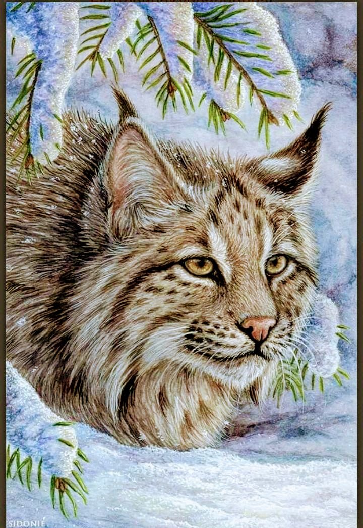 Кошки - рысь - оригинал