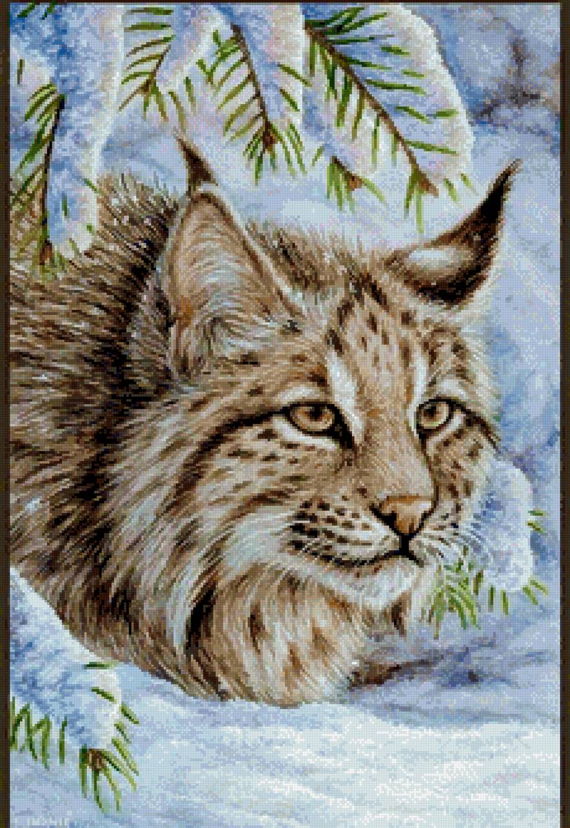 Кошки - рысь - предпросмотр