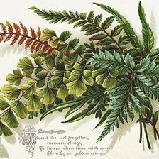 Схема вышивки «№2862756»