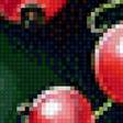 Предпросмотр схемы вышивки «Красная смородина» (№2862910)