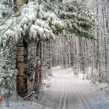 Схема вышивки «Зимняя дорога»