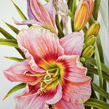 Схема вышивки «Лилейник»