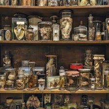 Схема вышивки «Полка в лаборатории»