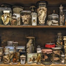 Схема вышивки «Полка в лаборатории 2»