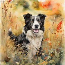 Схема вышивки «Бордер колли»