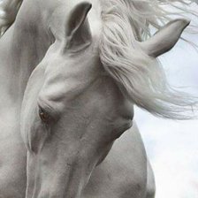 Лошадка_вер.02 (диф.90)