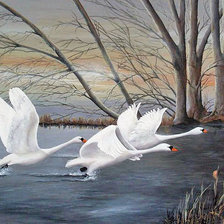 Схема вышивки «№2863524»