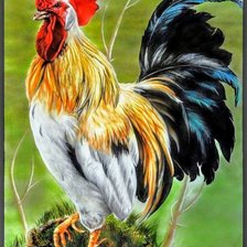 Схема вышивки «Птицы»