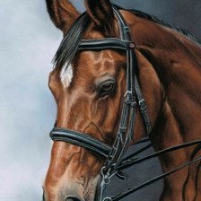 Схема вышивки «Конь. Лейла Гаязова»