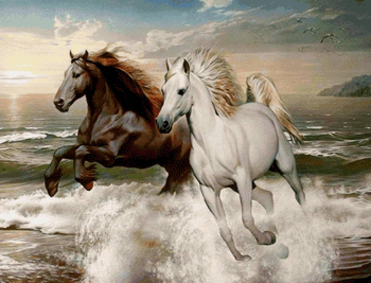 Пара коней - предпросмотр