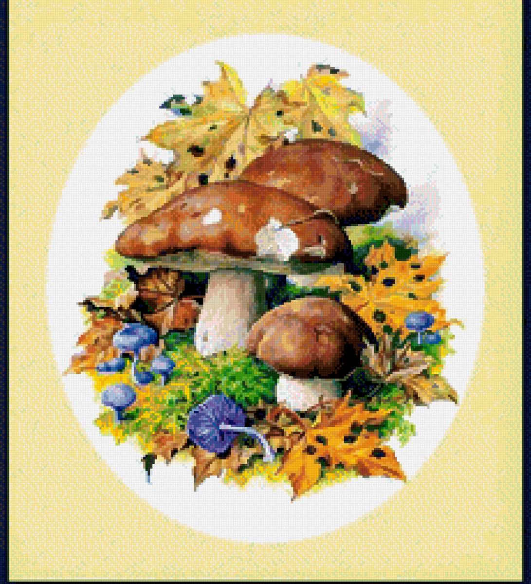 Природа - грибы - предпросмотр