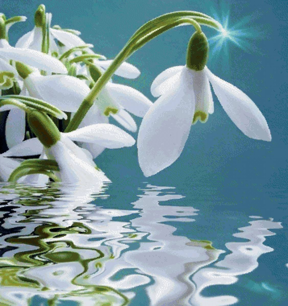 №2864174 - предпросмотр