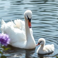 Схема вышивки «Природа, лебедь»