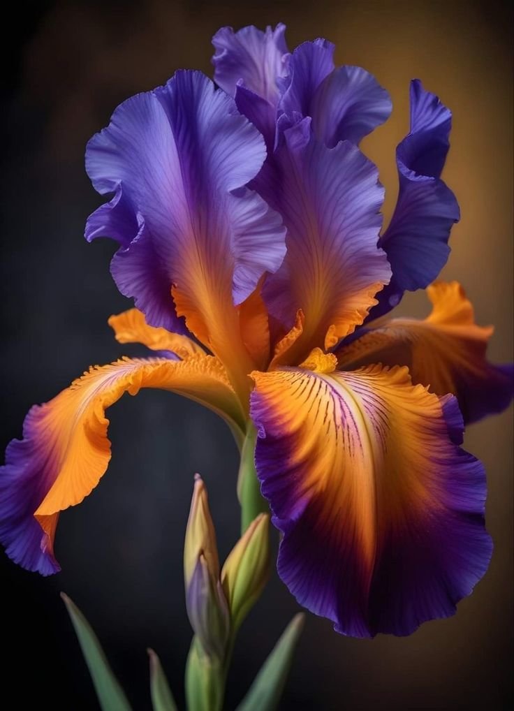 №2864539 - оригинал