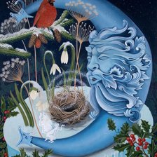 зимний  месяц