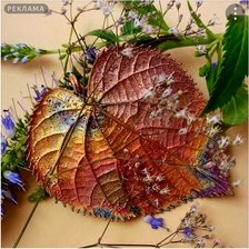 Схема вышивки «№2865447»