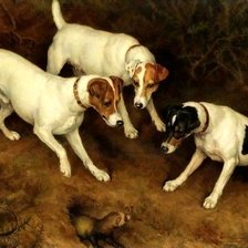 Схема вышивки «ДРТ на хорька»