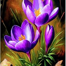 Схема вышивки «Подушка»