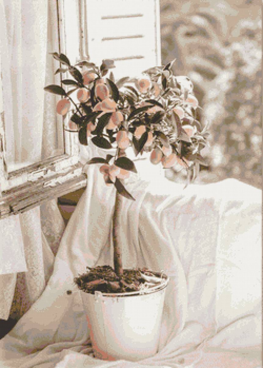 Лимон - предпросмотр