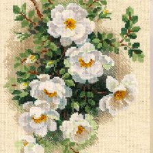 Схема вышивки «белый шиповник»