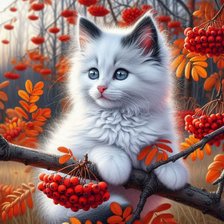 Схема вышивки «котенок»