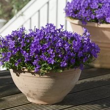 Схема вышивки «№2866025»