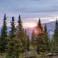 Схема вышивки «№2866026»