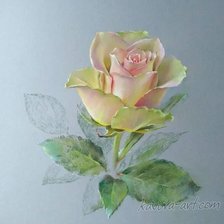 Схема вышивки «Вера кавура»