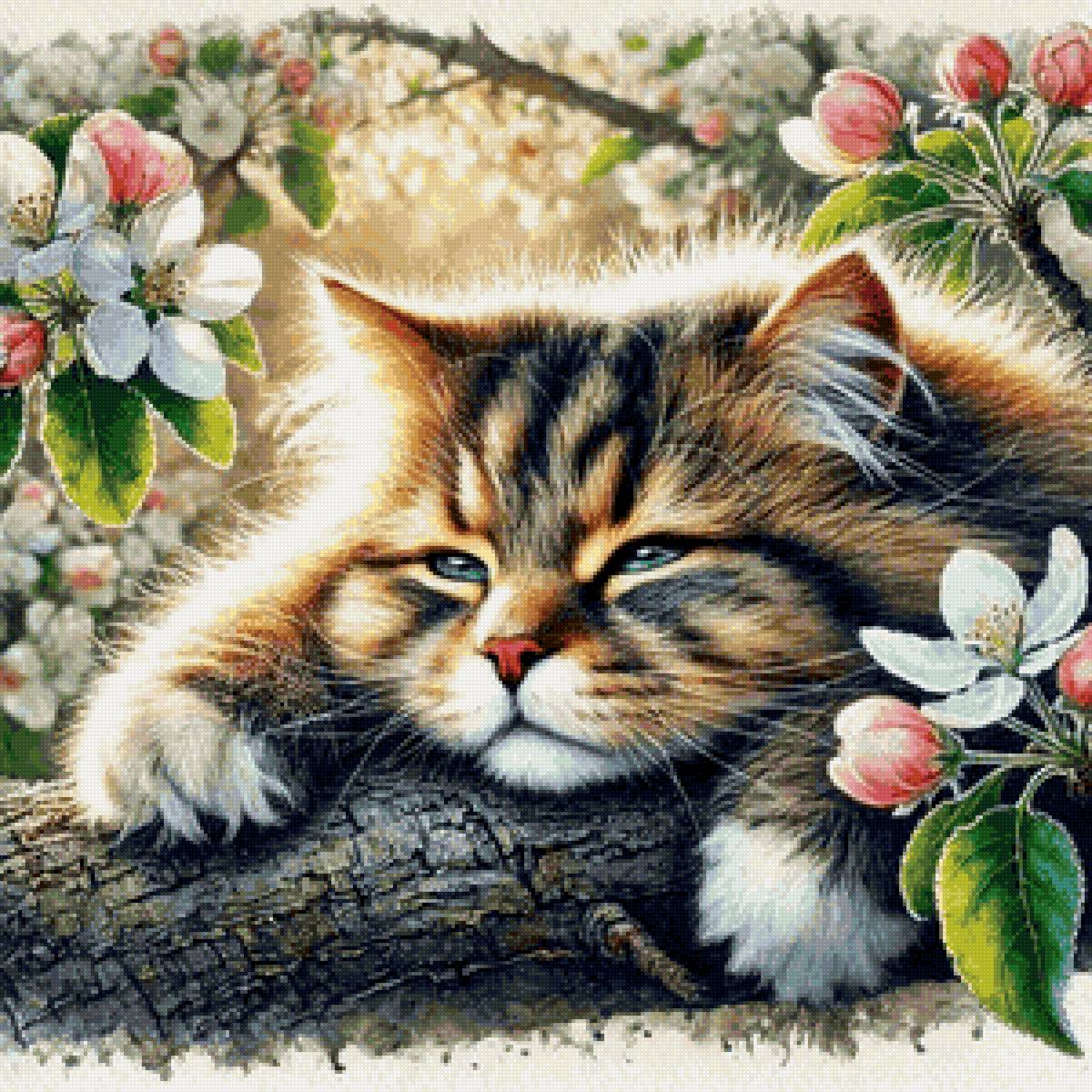 кот - кот - предпросмотр