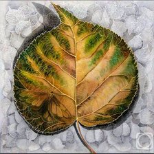 Схема вышивки «Рисунок»