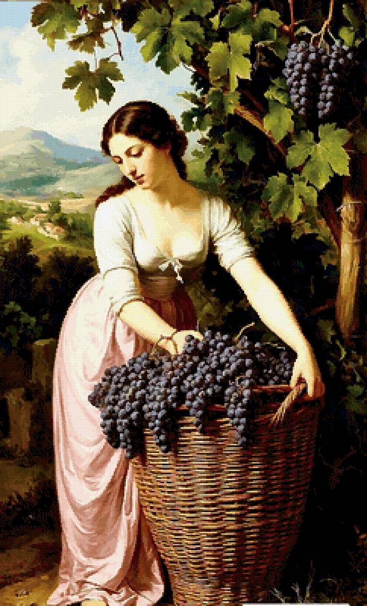 Корзина винограда - виноград, женщина - предпросмотр