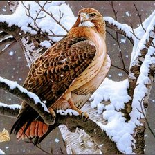 Схема вышивки «Природа»