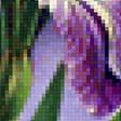 Предпросмотр схемы вышивки «Ирисы» (№2867951)