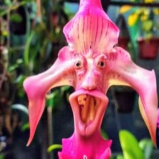 Схема вышивки «Цветы»